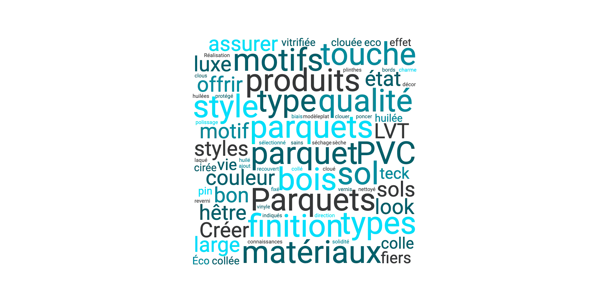 Blog - Nuage de mots sur le parquets