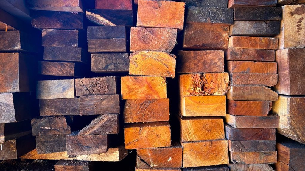 Article - Les Essences de Bois les Plus Populaires pour les Parquets