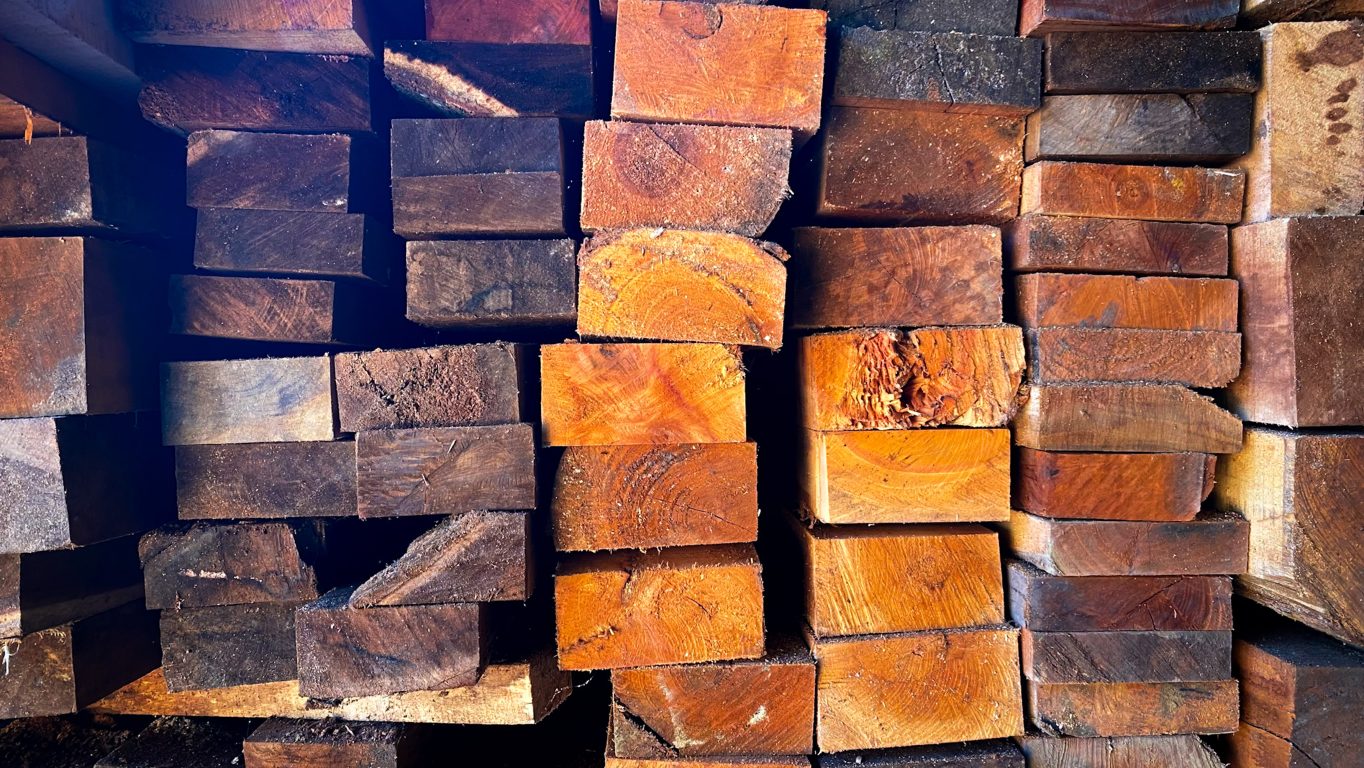 Article - Les Essences de Bois les Plus Populaires pour les Parquets