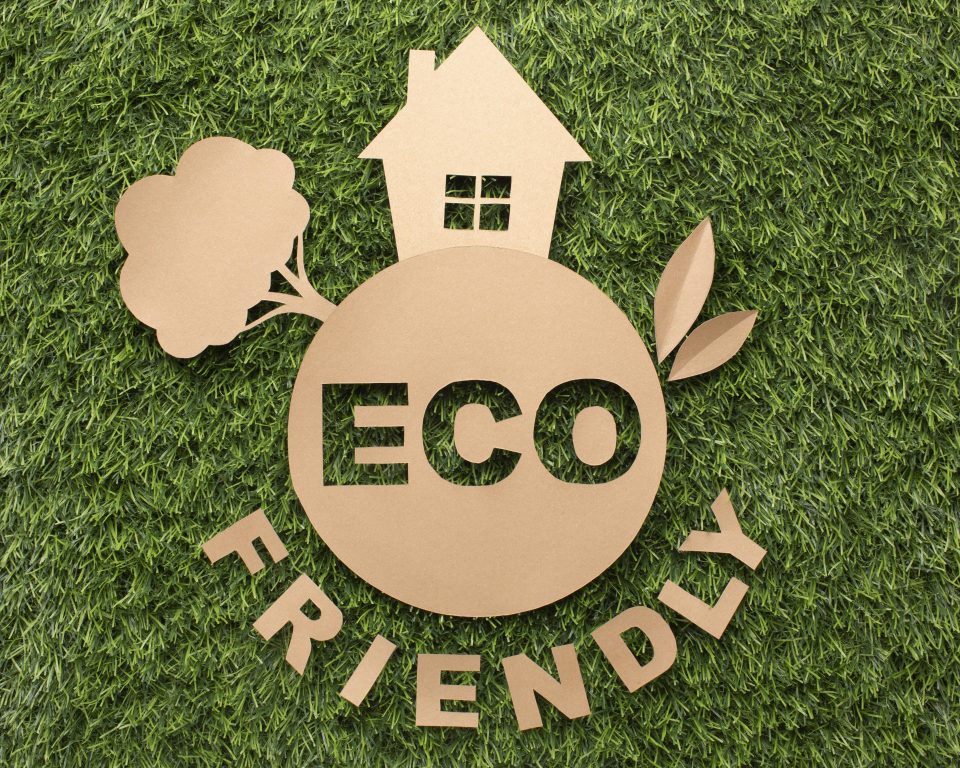 Article - L'impact environnemental des parquets